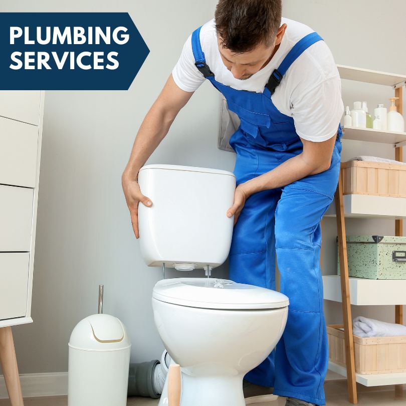 Plumbing Company in Claremont, IL